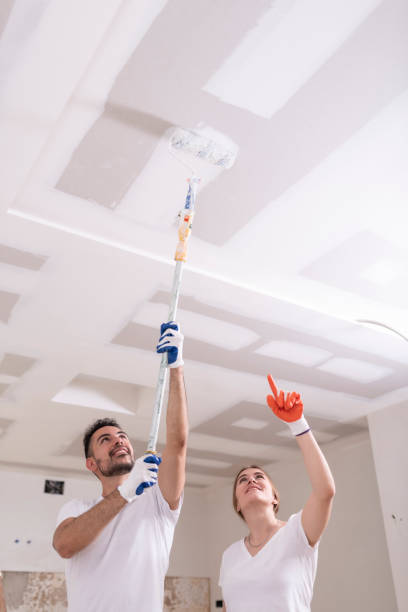 Best HVAC Mold Inspection and Cleaning  in Advae, NC