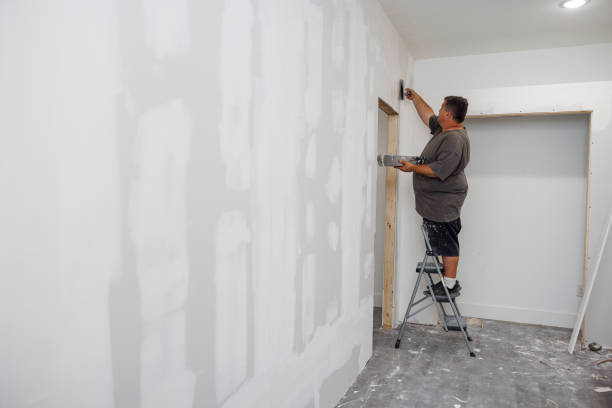 Best Mold Damage Restoration  in Advae, NC