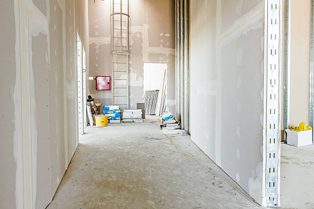 Best Asbestos and Lead Testing During Mold Inspection  in Advae, NC