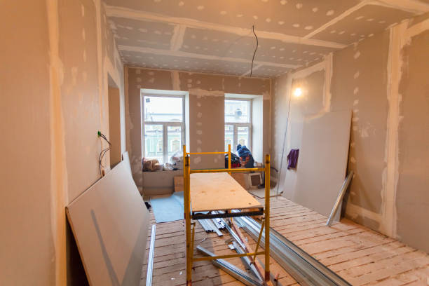 Professional Mold Removal in Advance, NC